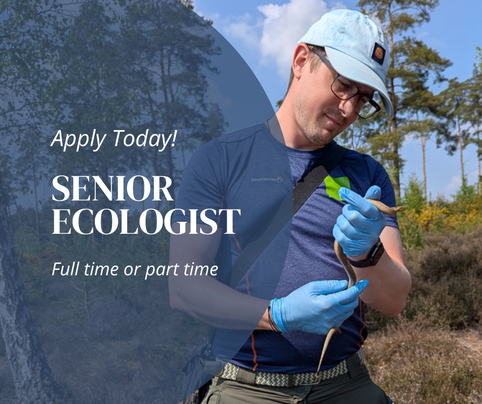Random Ecologist Luscinia Ecology Ltd-Senior Ecologist Cover Image